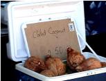 Chilled coconut was never fresher
