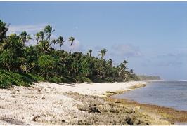 Lonely beach