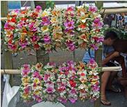 Cook Islands eis