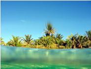 East Island, Suwarrow