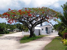 Mitiaro's main street