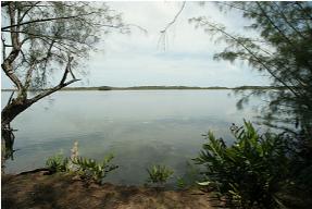 Rotonui from the shore