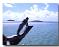 Guided tour of Aitutaki