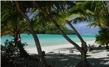 Shady shore on One Foot Island