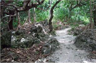 Ancient Mangaia