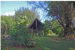 Atiu Villas