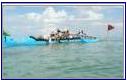Cook Islands canoe racing