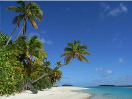 Paradise found