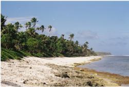 Lonely beach