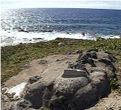 Kea's grave