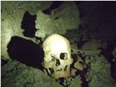Skull in cave