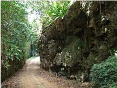 Road through the makatea