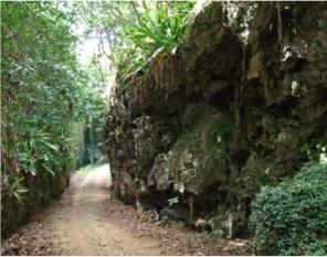 Road through the makatea