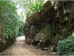 Road through the makatea
