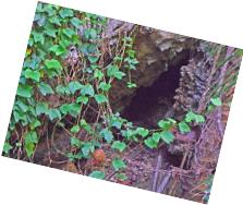 Mangaia cave entrance