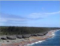 Rugged coastline