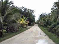 Mauke main road