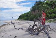 Homanai on the beach