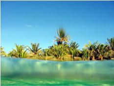 East Island, Suwarrow