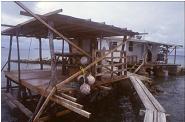 Pearl Farm