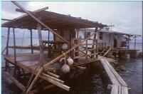 Pearl Farm