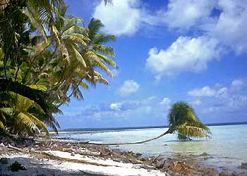 Deserted beach on Manuae